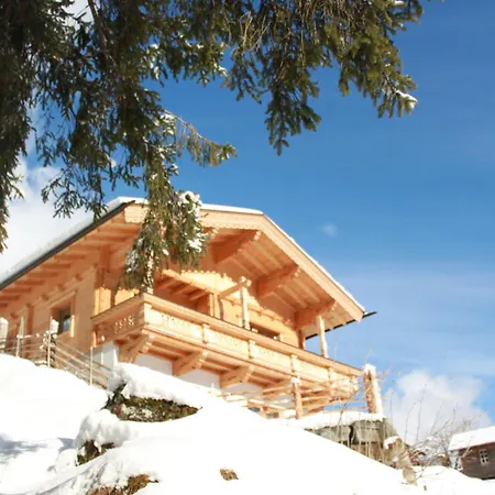 Dom wakacyjny Innerzarge Tux